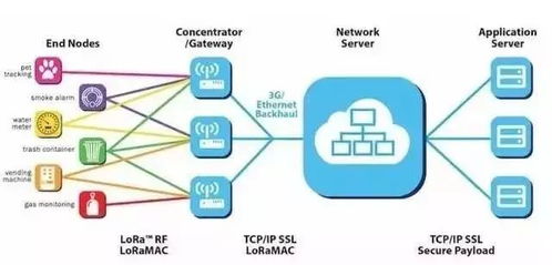 無(wú)線通信網(wǎng)絡(luò)之LORA技術(shù)及其在信息系統(tǒng)集成服務(wù)中的應(yīng)用